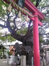石津神社.jpg