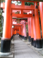 伏見稲荷大社.jpg