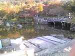 円山公園.jpg