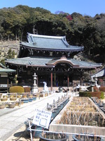 三室戸寺.jpg
